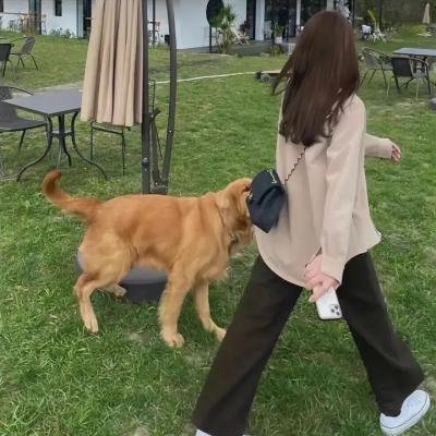 齿轮上的时空糖